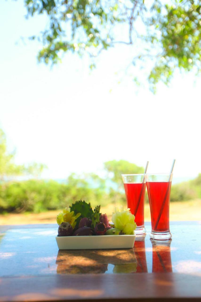 Nil Sisila Beach Resort Yala Exteriér fotografie
